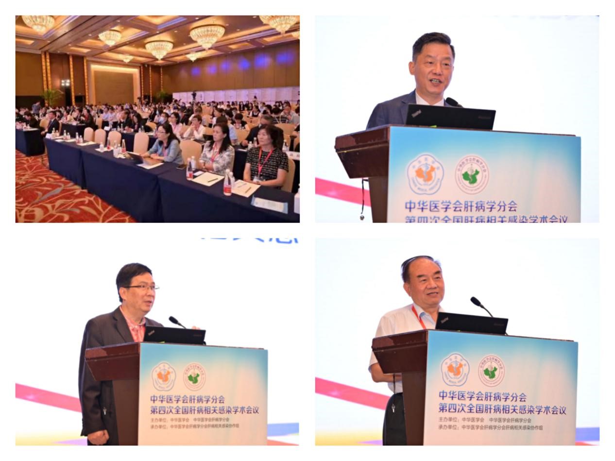 聚焦學(xué)術(shù)前沿，共迎肝病防治新征程！福瑞股份以學(xué)術(shù)助力中醫(yī)藥發(fā)展